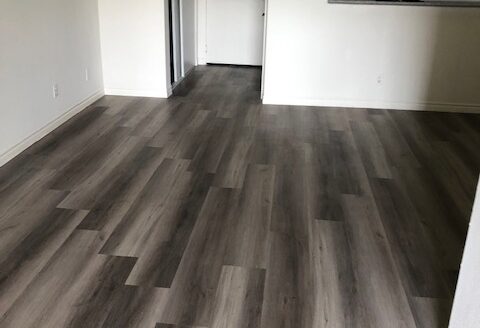 Lovely Apartment in the Heart of Hollywood!