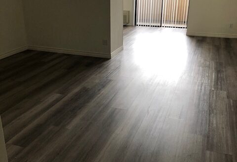 Lovely Apartment in the Heart of Hollywood!