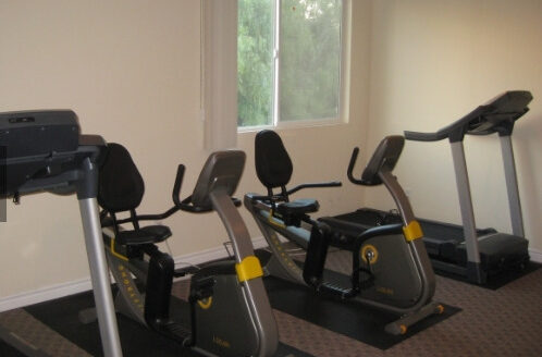 Contemporary 3 Bedroom 2 Bathroom Apartment in Panorama City